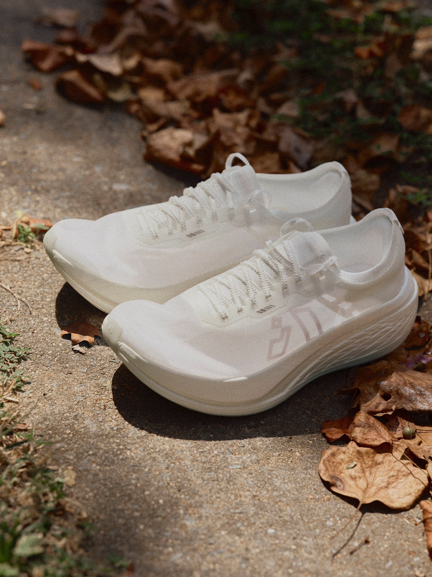 Runsifly Flare Elite - The $200 Super Shoe