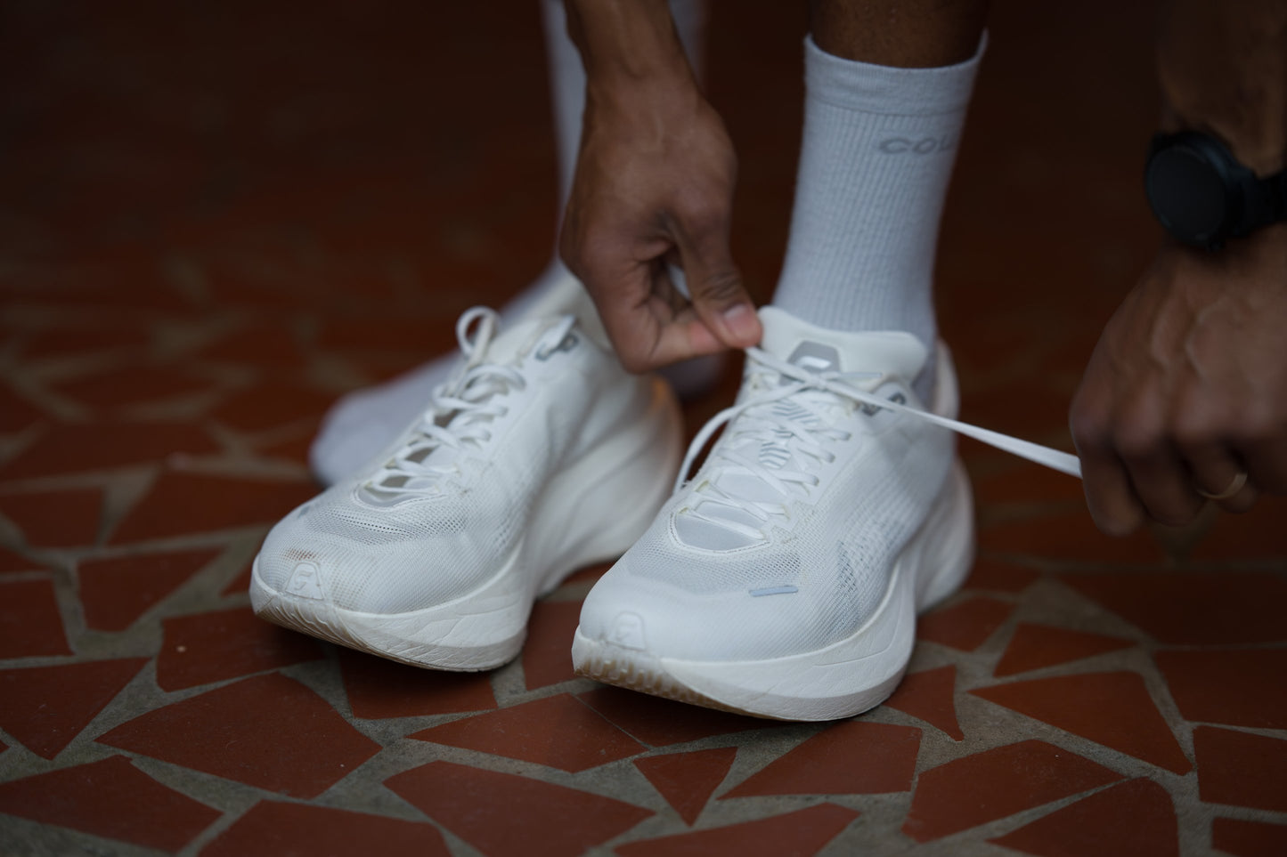 Dynafish Xiaonian Super Trainer