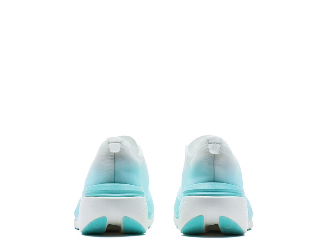 Runsifly Flare Elite - The $200 Super Shoe